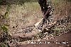 WAG Malawi Highslide