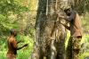 WAG Malawi Highslide