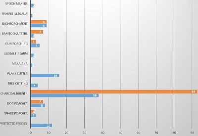WAG arrests by illegal activity 