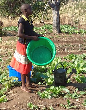 Trial Demo Garden